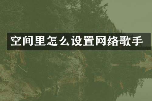 空间里怎么设置网络歌手
