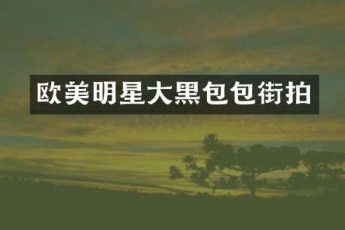 欧美明星大黑包包街拍