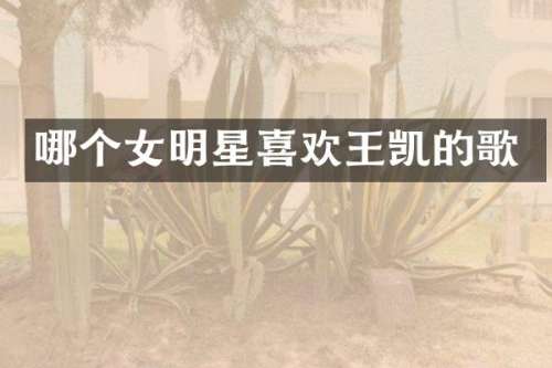 哪个女明星喜欢王凯的歌