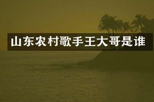 山东农村歌手王大哥是谁