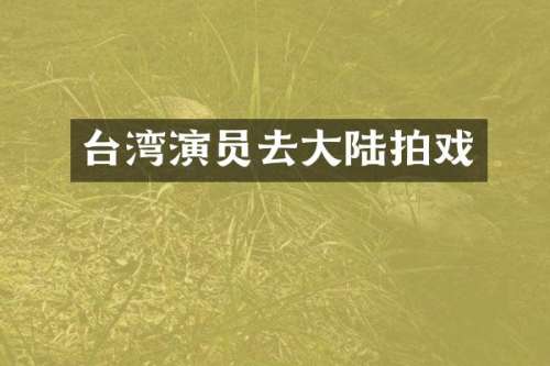 台湾演员去大陆拍戏