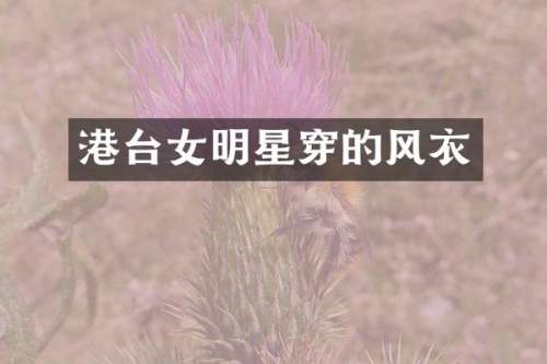 港台女明星穿的风衣