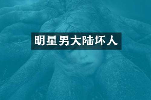 明星男大陆坏人