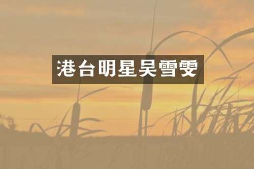 港台明星吴雪雯