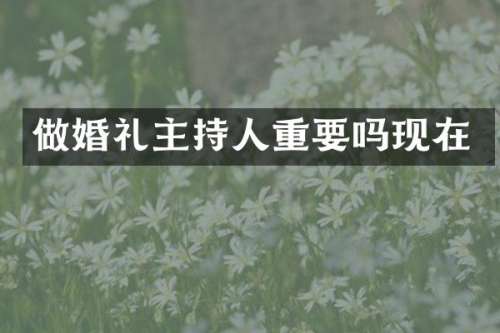 做婚礼主持人重要吗现在