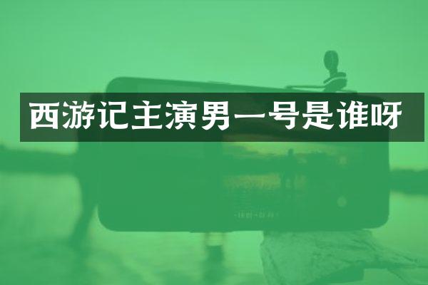 西游记主演男一号是谁呀
