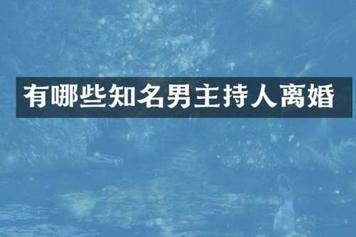 有哪些知名男主持人离婚