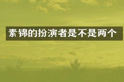 素锦的扮演者是不是两个