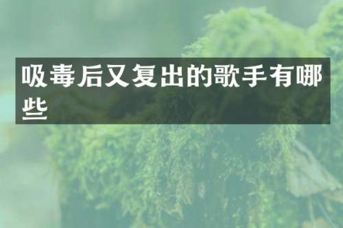 吸毒后又复出的歌手有哪些