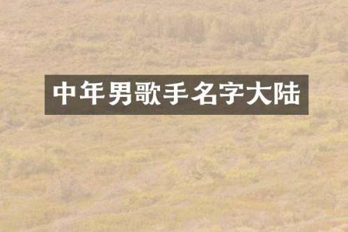 中年男歌手名字大陆