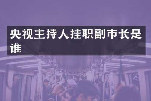 央视主持人挂职副市长是谁