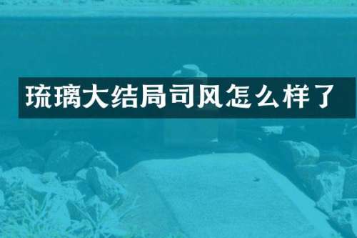 琉璃大结局司风怎么样了