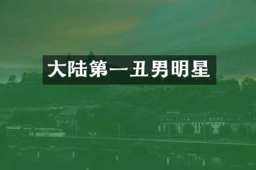 大陆第一丑男明星