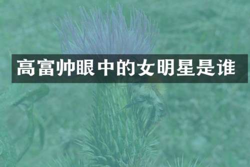高富帅眼中的女明星是谁