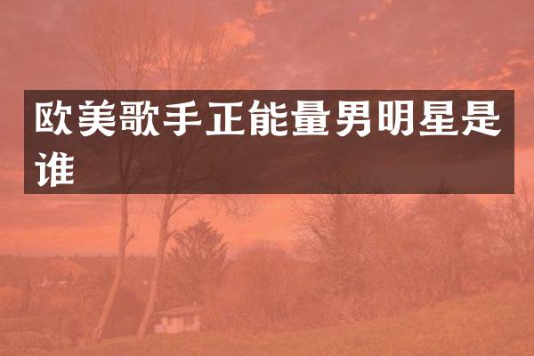 欧美歌手正能量男明星是谁