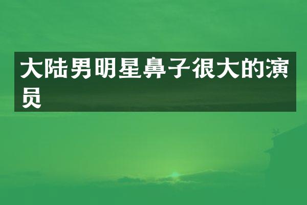 大陆男明星鼻子很大的演员