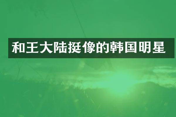 和王大陆挺像的韩国明星
