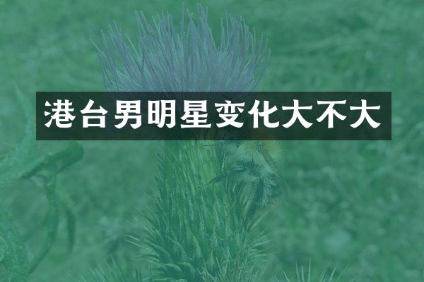 港台男明星变化大不大
