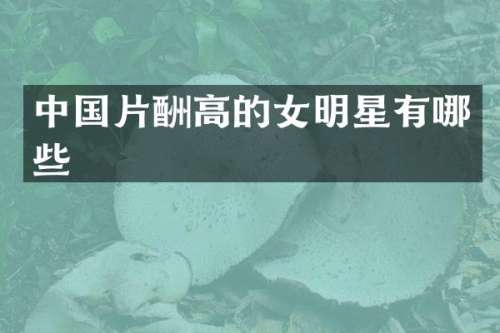 中国片酬高的女明星有哪些