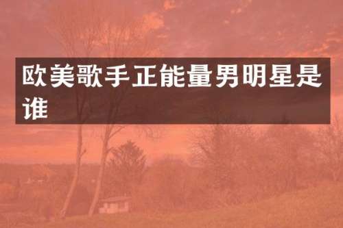 欧美歌手正能量男明星是谁