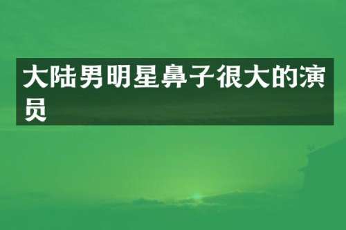 大陆男明星鼻子很大的演员