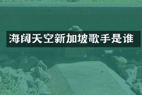 海阔天空新加坡歌手是谁