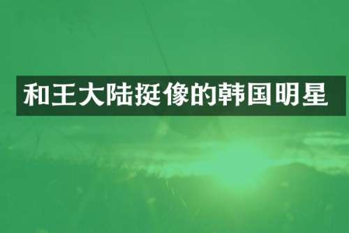 和王大陆挺像的韩国明星