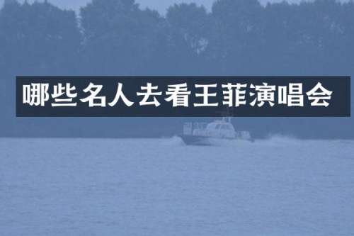 哪些名人去看王菲演唱会