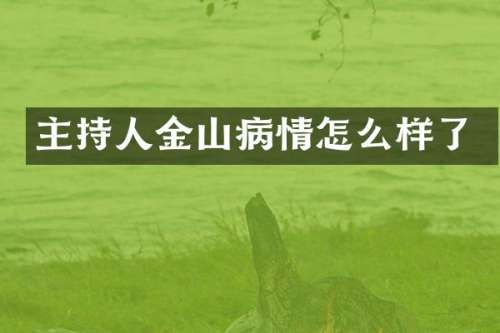 主持人金山病情怎么样了
