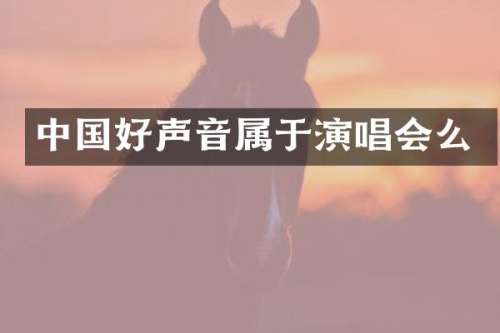 中国好声音属于演唱会么