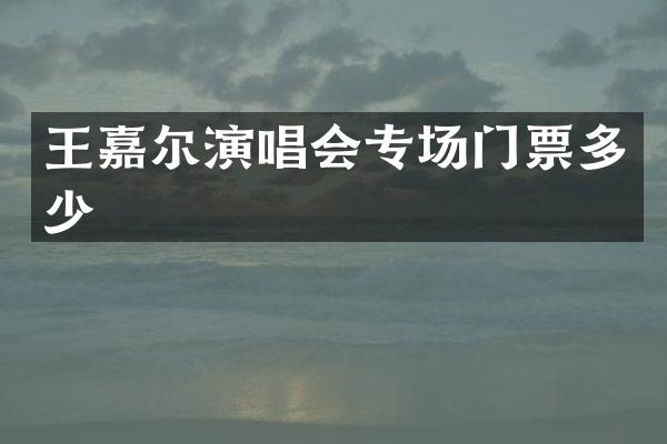 王嘉尔演唱会专场门票多少