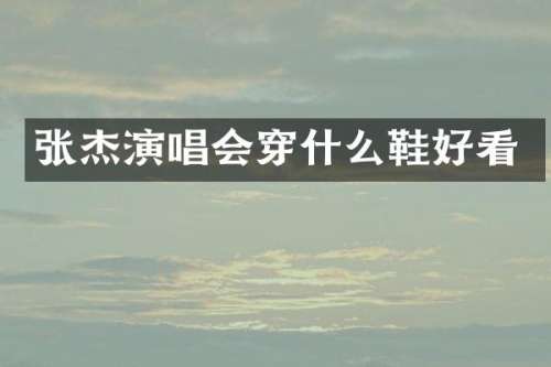 张杰演唱会穿什么鞋好看