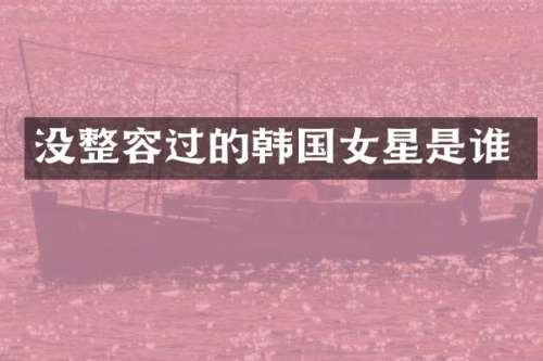 没整容过的韩国女星是谁