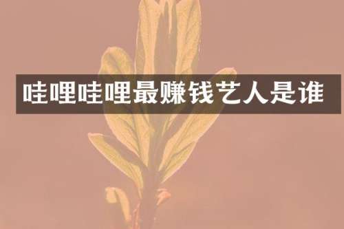 哇哩哇哩最赚钱艺人是谁
