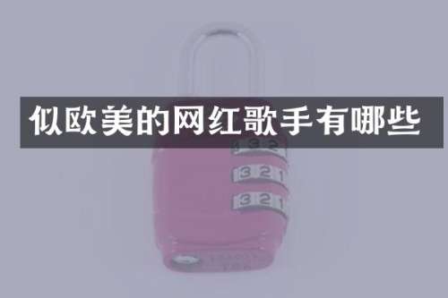 似欧美的网红歌手有哪些