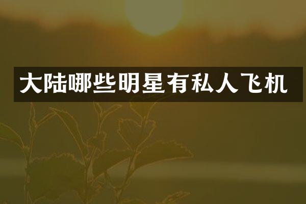 大陆哪些明星有私人飞机