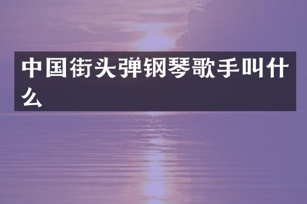 中国街头弹钢琴歌手叫什么