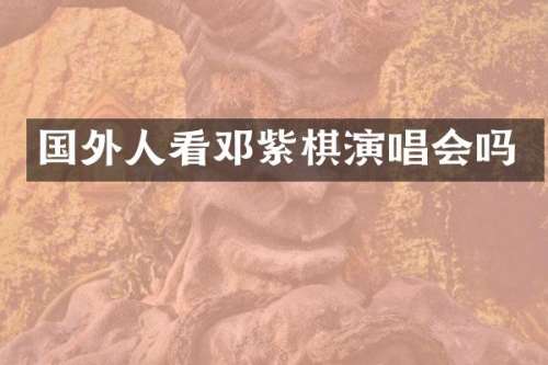 国外人看邓紫棋演唱会吗