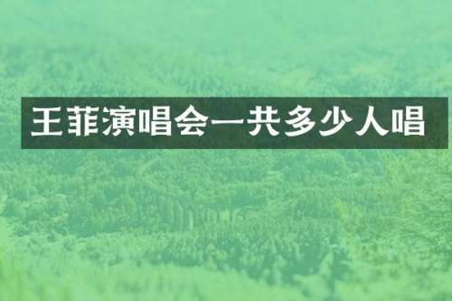 王菲演唱会一共多少人唱