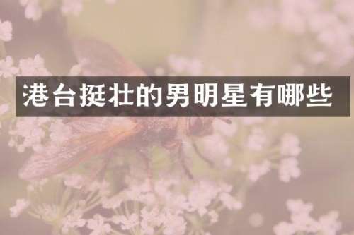 港台挺壮的男明星有哪些