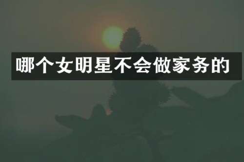 哪个女明星不会做家务的