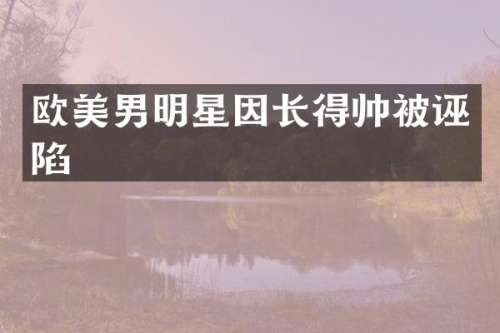 欧美男明星因长得帅被诬陷