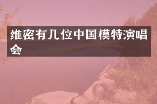 维密有几位中国模特演唱会