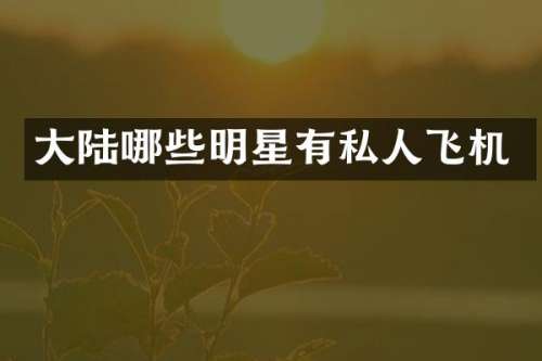 大陆哪些明星有私人飞机