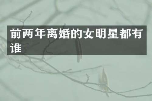 前两年离婚的女明星都有谁