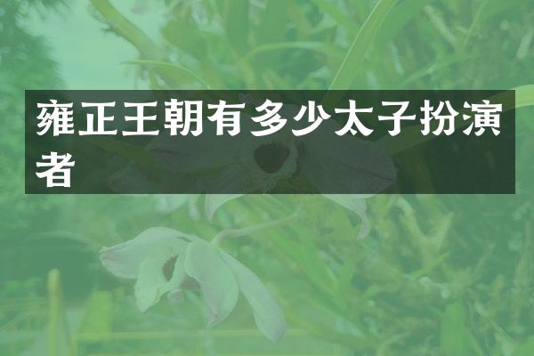 雍正王朝有多少太子扮演者