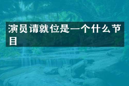 演员请就位是一个什么节目