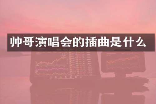 帅哥演唱会的插曲是什么