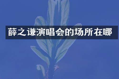 薛之谦演唱会的场所在哪