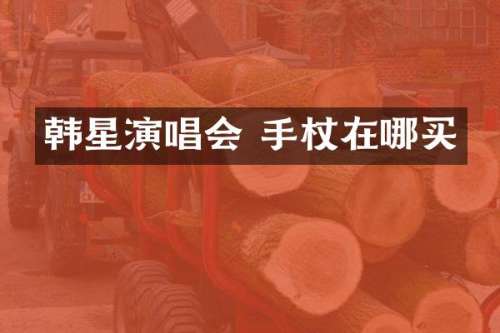 韩星演唱会 手杖在哪买